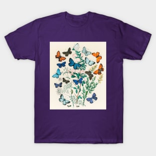 butterfly art with butterfly decorations T-Shirt